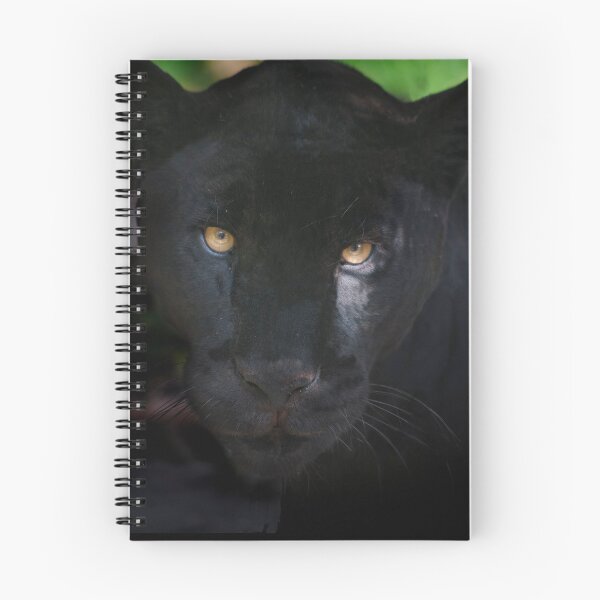 Item preview, Wild Cats - Black Jaguar designed and sold by Carole Anne Ferris.