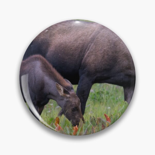 Item preview, Cow and Calf Eating designed and sold by jmscyclist.