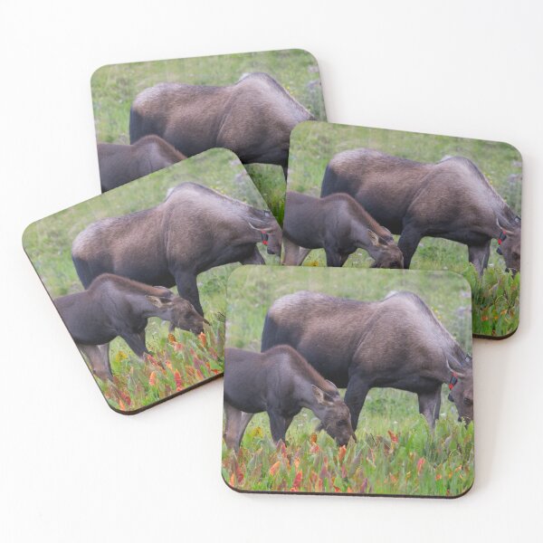 Item preview, Cow and Calf Eating designed and sold by jmscyclist.