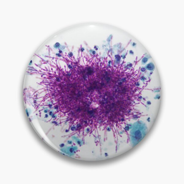 Item preview, Candida Polka Dots (Cytology) designed and sold by Kypka.