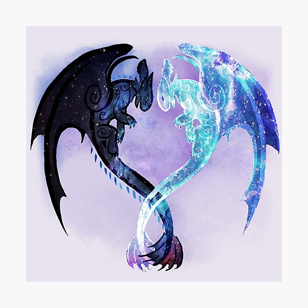Dragon Heart Toothless and Light Fury Photographic Print