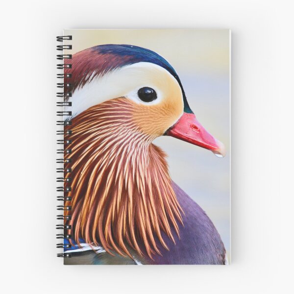 Item preview, Mandarin Duck. designed and sold by jmwilesphotos.