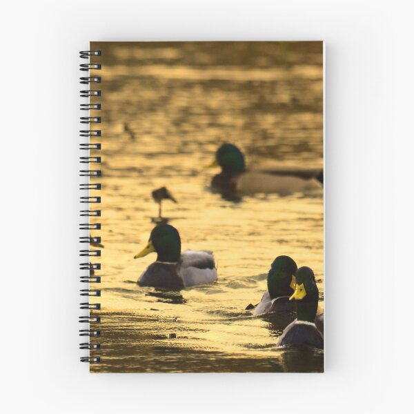 Item preview, Mallard - (Anas platyrhynchos) designed and sold by Matsumoto.