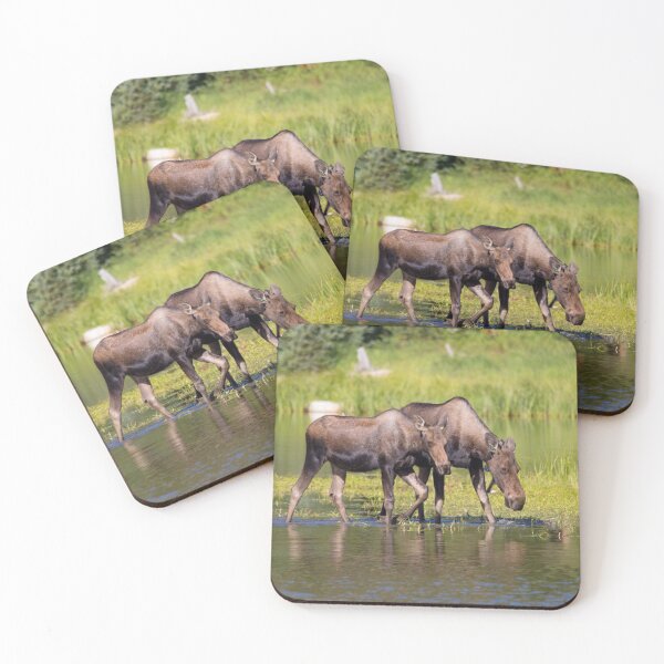 Item preview, Moose cow and calf on edge of water designed and sold by jmscyclist.