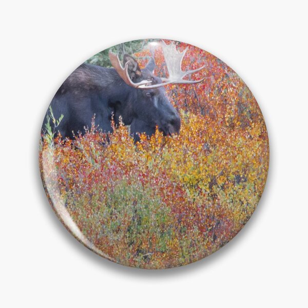 Item preview, Bull moose in foliage designed and sold by jmscyclist.