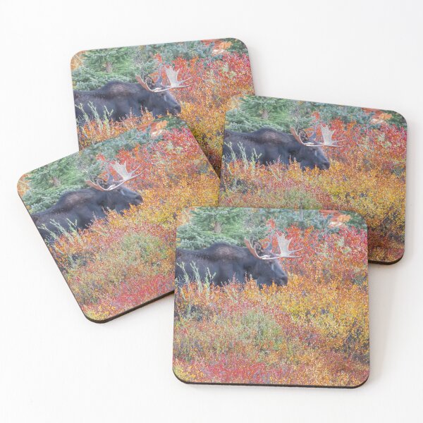 Item preview, Bull moose in foliage designed and sold by jmscyclist.