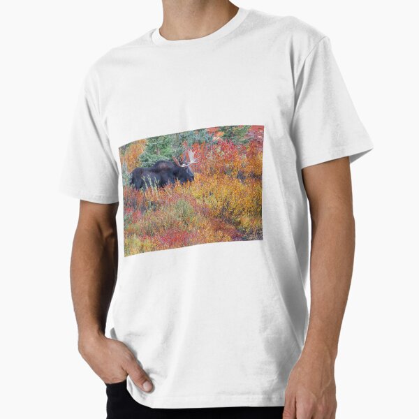 T-shirt Y2K Ouray Colorado Moose Dancing - Vert - Taille M - 2000s - Gildan
