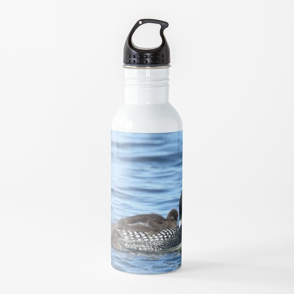 Grey Stainless Steel Syllabary Water Bottle