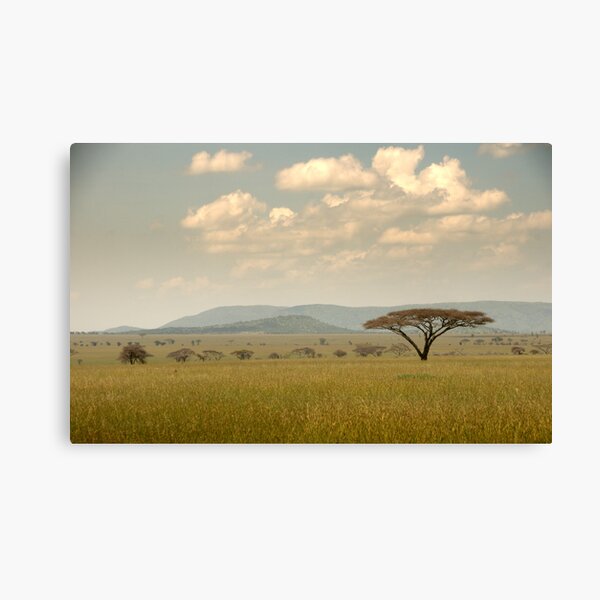 Item preview, Serengeti landscape designed and sold by Catherine Ames.
