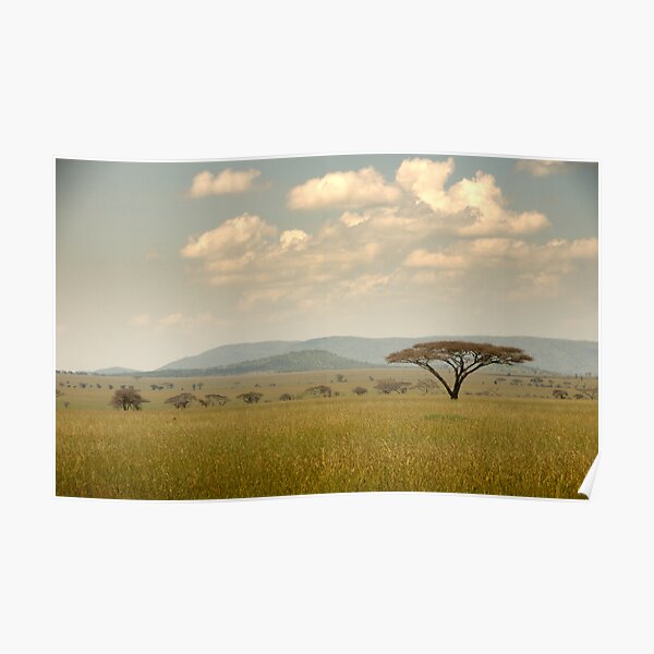 Psycho Panorama Format Bild auf Leinwand Poster Wandbilder 