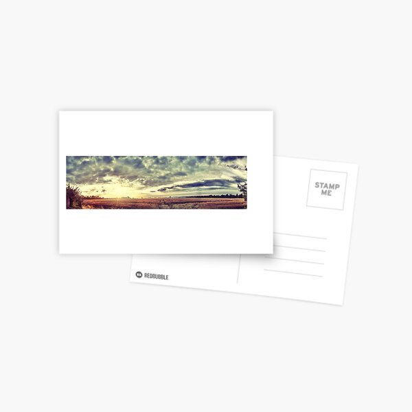Sunrise Field Postcard