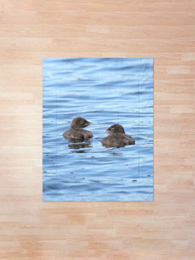 Alternate view of Baby loons Comforter