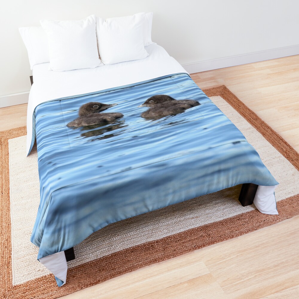Baby loons Comforter