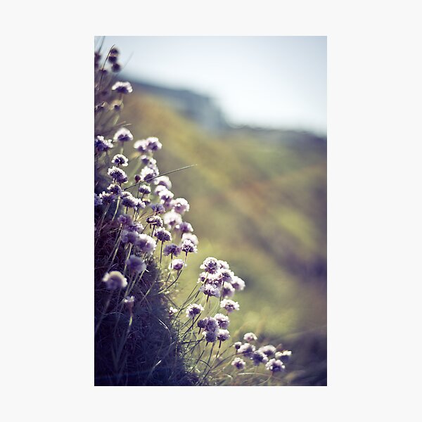 On the edge Photographic Print