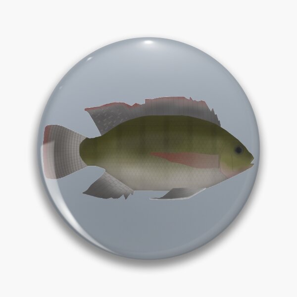 Item preview, Longfin Tilapia designed and sold by fishfolkart.