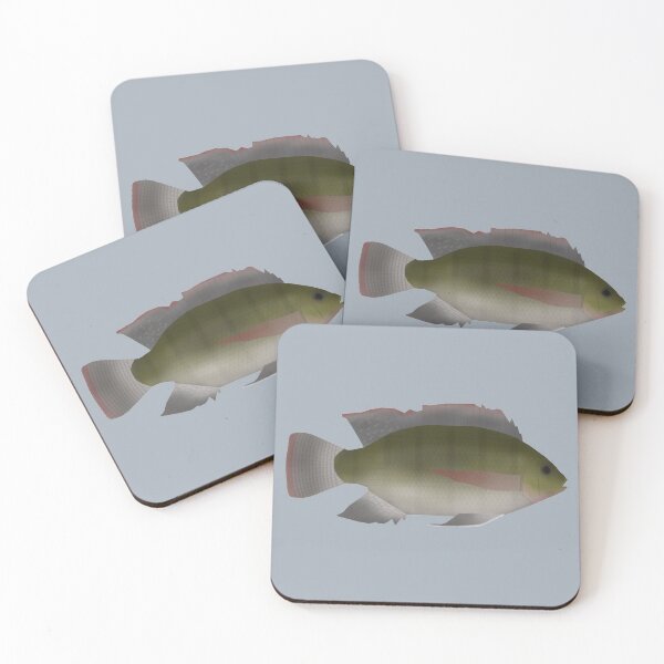 Item preview, Longfin Tilapia designed and sold by fishfolkart.