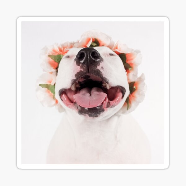 Item preview, Beebs Flower designed and sold by Believeabull.