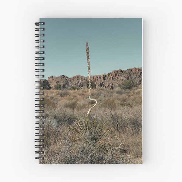 Item preview, Extraño tallo de flores de yuca en el Parque Nacional Big Bend designed and sold by Chee Sim.