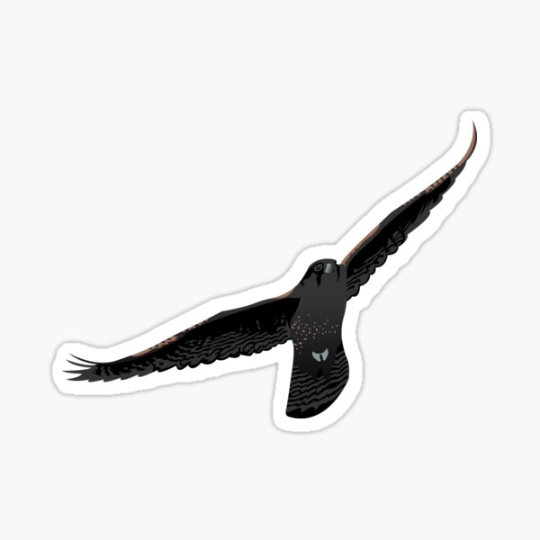 Black Gyrfalcon in Flight Sticker