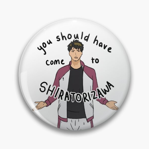 You should have come to Shiratorizawa pt. 2 Pin