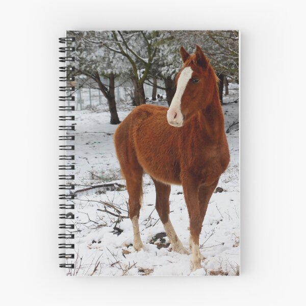 Item preview, Horses in the snow in Golan Heights Israel designed and sold by Matan Hirsch.
