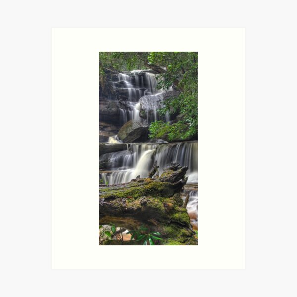 Item preview, Fallen Tree at Somersby Falls designed and sold by Mike Salway.