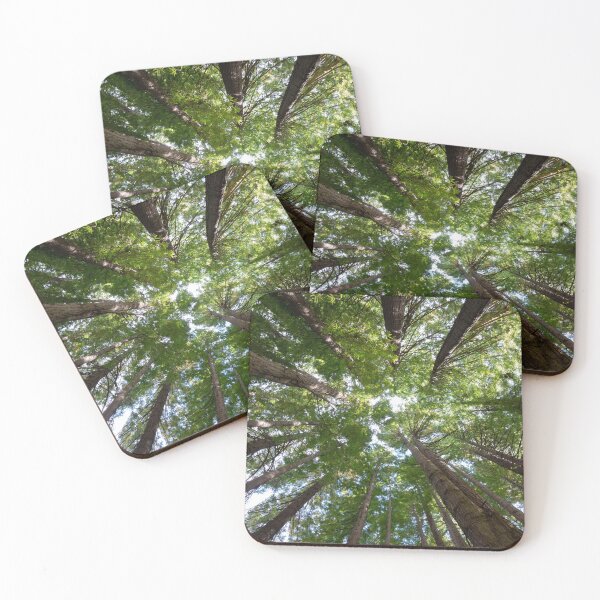 Item preview, Looking up to the Redwood trees. designed and sold by Anne Scantlebury.