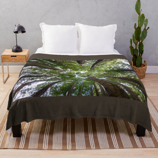 Item preview, Looking up to the Redwood trees. designed and sold by Anne Scantlebury.