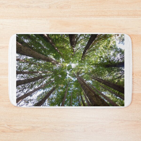Item preview, Looking up to the Redwood trees. designed and sold by Anne Scantlebury.