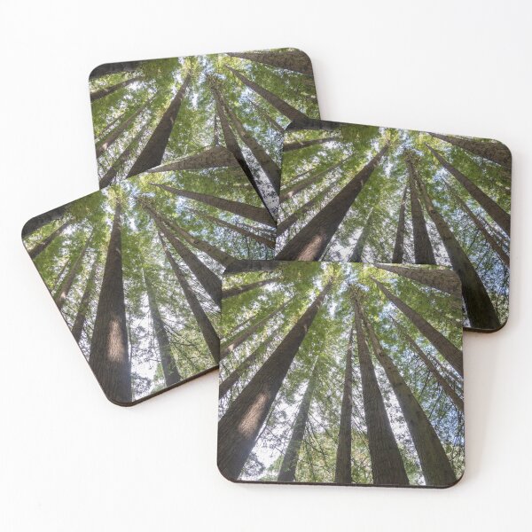 Item preview, Looking up the tall redwood trees. designed and sold by Anne Scantlebury.