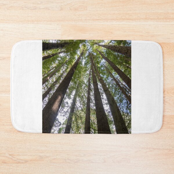 Item preview, Looking up the tall redwood trees. designed and sold by Anne Scantlebury.