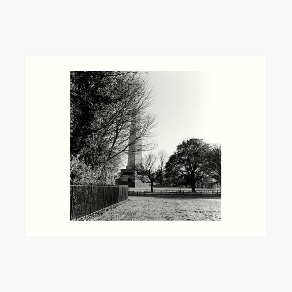 Wellington Monument, Phoenix Park, Dublin Art Print