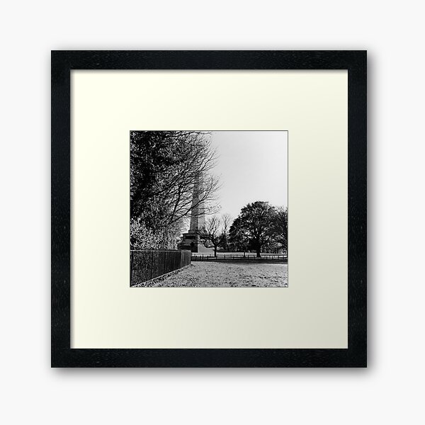 Wellington Monument, Phoenix Park, Dublin Framed Art Print