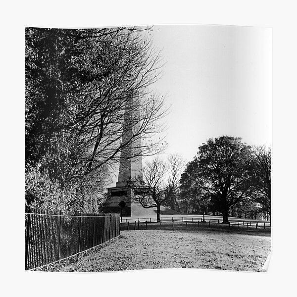 Wellington Monument, Phoenix Park, Dublin Poster