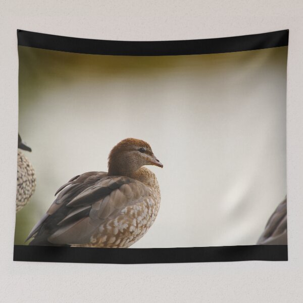 Item preview, A Duck On The Edge Of A Pond designed and sold by Jason Gilbert.