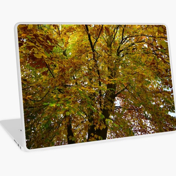 Autumn / Fall Tree Leaves Laptop Skin