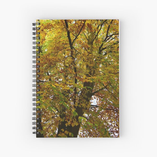 Autumn / Fall Tree Leaves Spiral Notebook