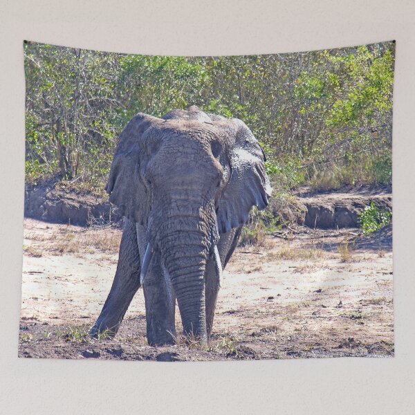 Item preview, African Elephant in the Wild, South Africa designed and sold by worldways.