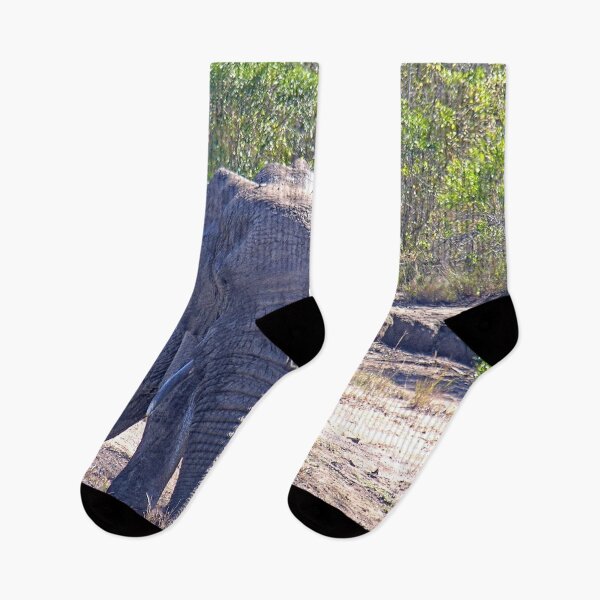 Item preview, African Elephant in the Wild, South Africa designed and sold by worldways.