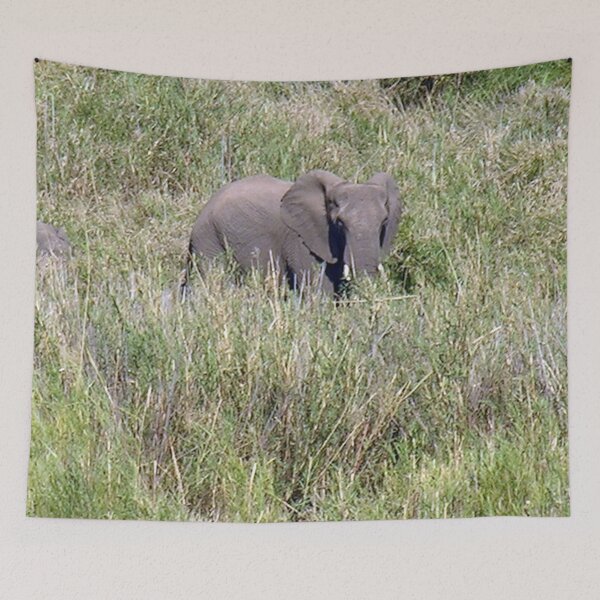 Item preview, African Elephant in the Wild Kruger national park, South Africa designed and sold by worldways.