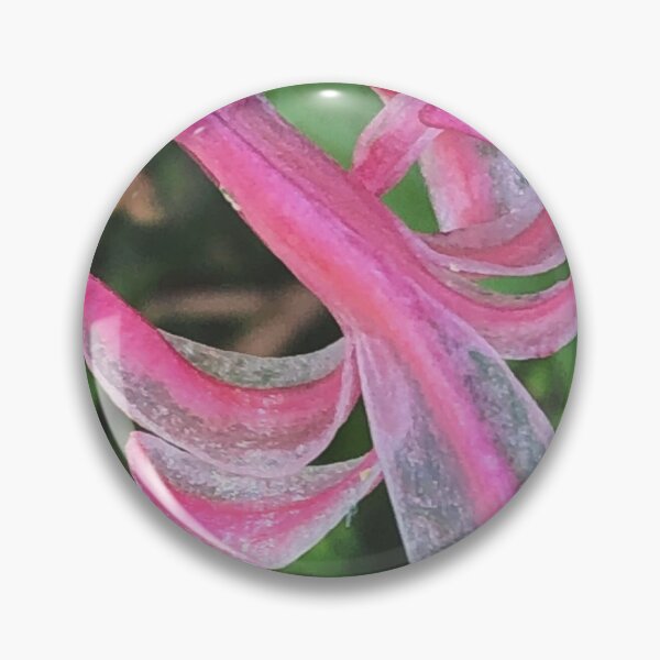 Item preview, Hyacinth Bloom  designed and sold by Paula Betz.