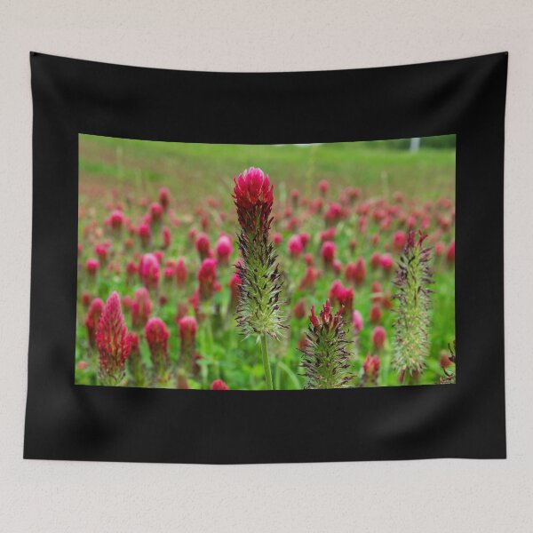 Item preview, Closeup of Crimson Clover flower designed and sold by Stretch Clendennen.