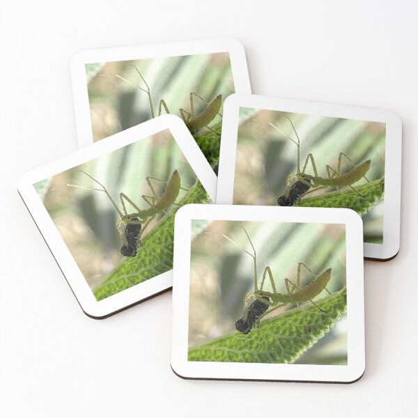 Item preview, A Zelus on a Leaf  designed and sold by Paula Betz.