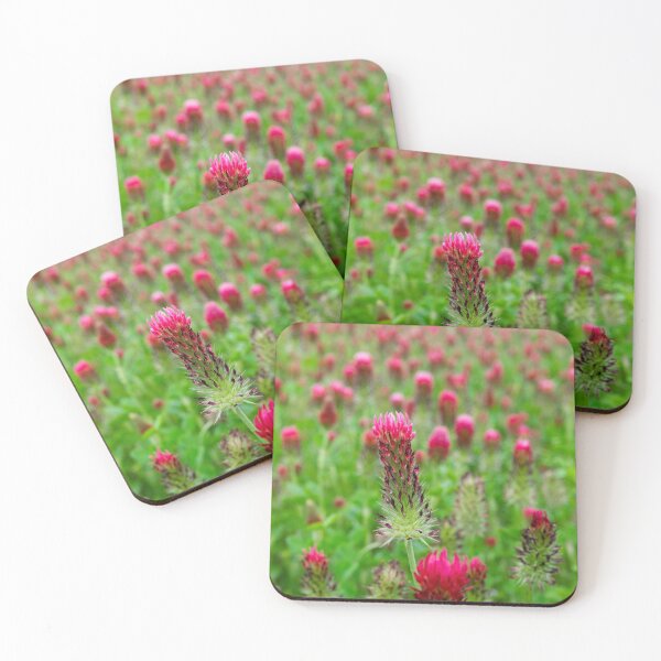 Item preview, Trébol carmesí que florece en el campo designed and sold by Stretch Clendennen.