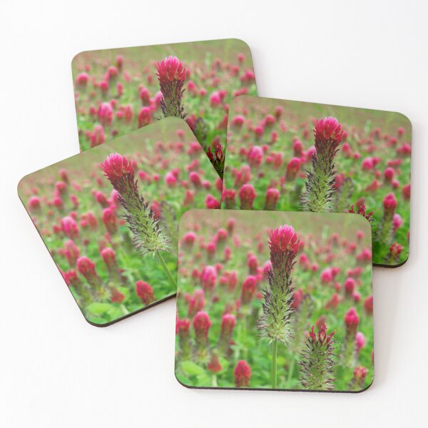 Item preview, Crimson Clover flower standing tall designed and sold by Stretch Clendennen.