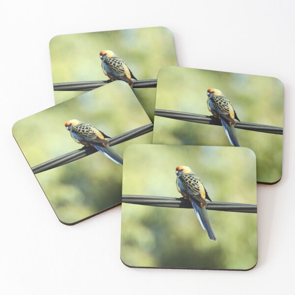Item preview, Pretty Adelaide Rosella designed and sold by imaginethis.