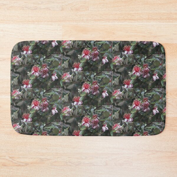 Item preview, Feijoa flower at Magpie Springs by South Australian artist Avril Thomas designed and sold by MagpieSprings.