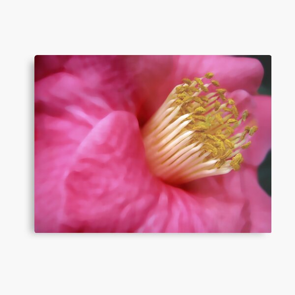 Item preview, Camellia designed and sold by Geoffrey Higges.