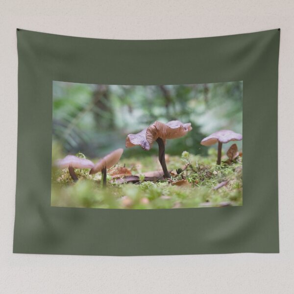 Item preview, Delicate pink mushrooms on forest floor. designed and sold by Anne Scantlebury.