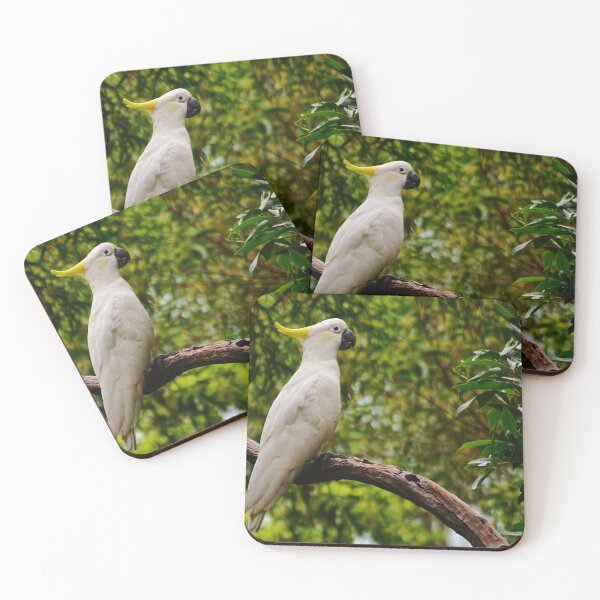 Item preview, The Cockatoo designed and sold by D-GaP.